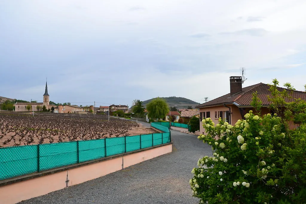 Villa Domaine Du Barvy Odenas