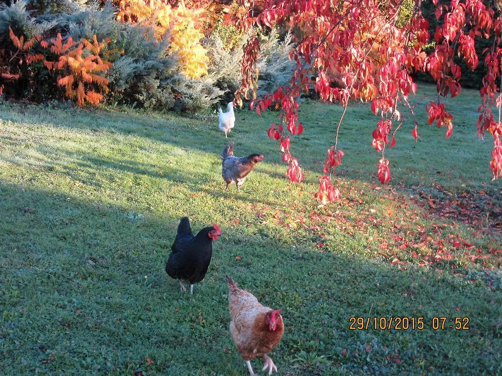Domaine Du Barvy Holiday home Odenas 0*,