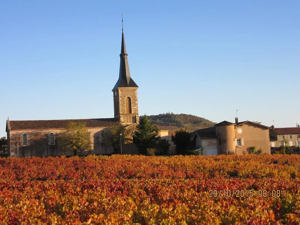 Domaine Du Barvy Holiday home Odenas