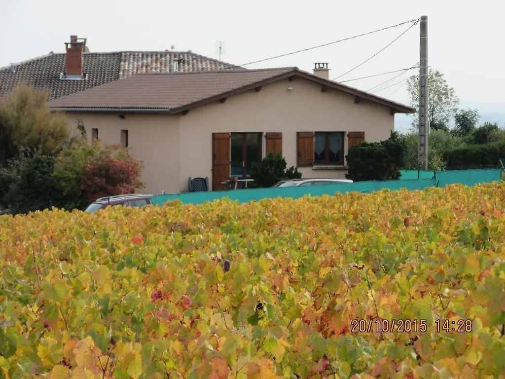 Domaine Du Barvy Holiday home Odenas