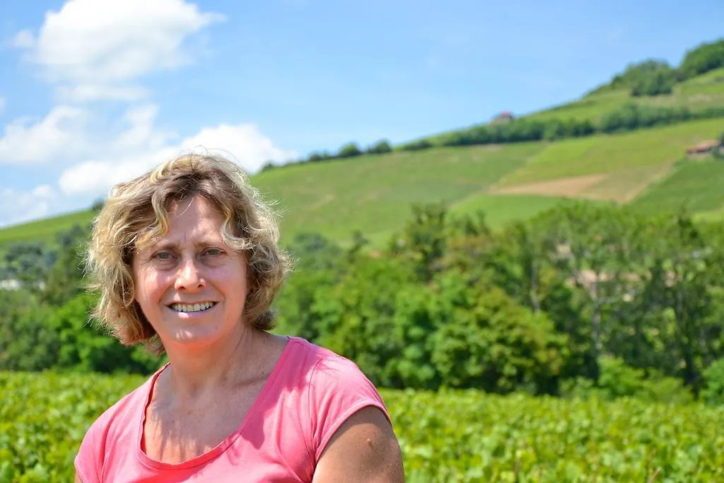 Domaine Du Barvy Holiday home Odenas France